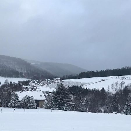 Appartement Familie Willems Winterberg 2 Екстериор снимка