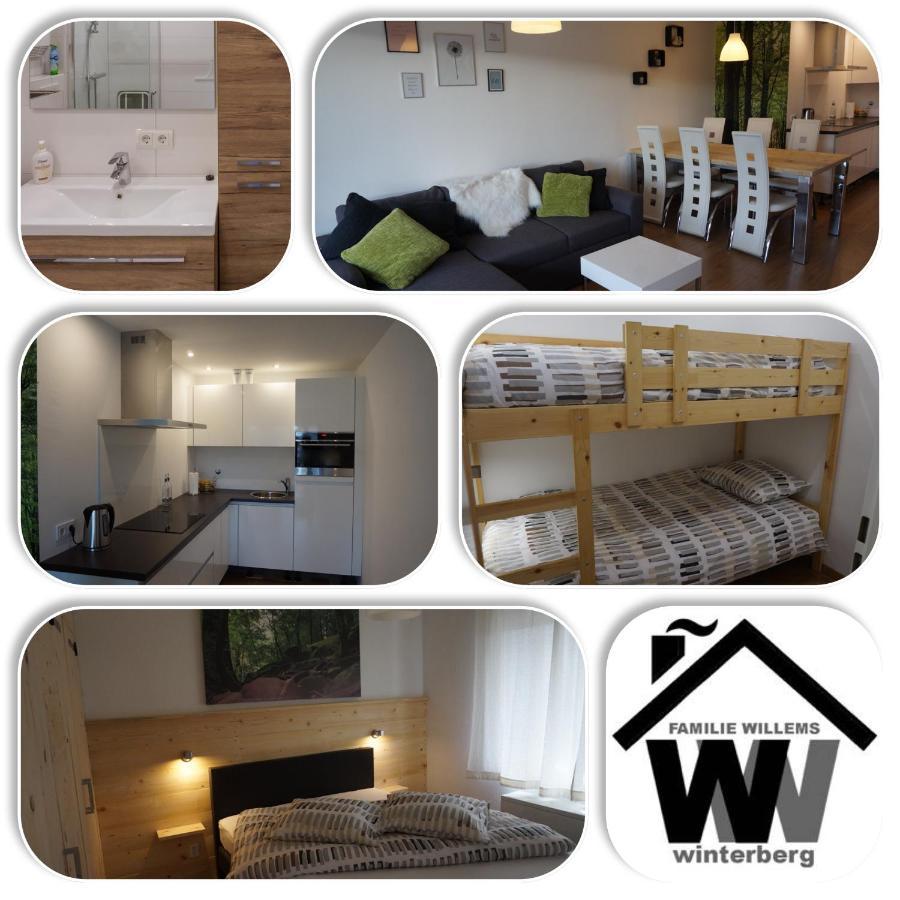 Appartement Familie Willems Winterberg 2 Екстериор снимка