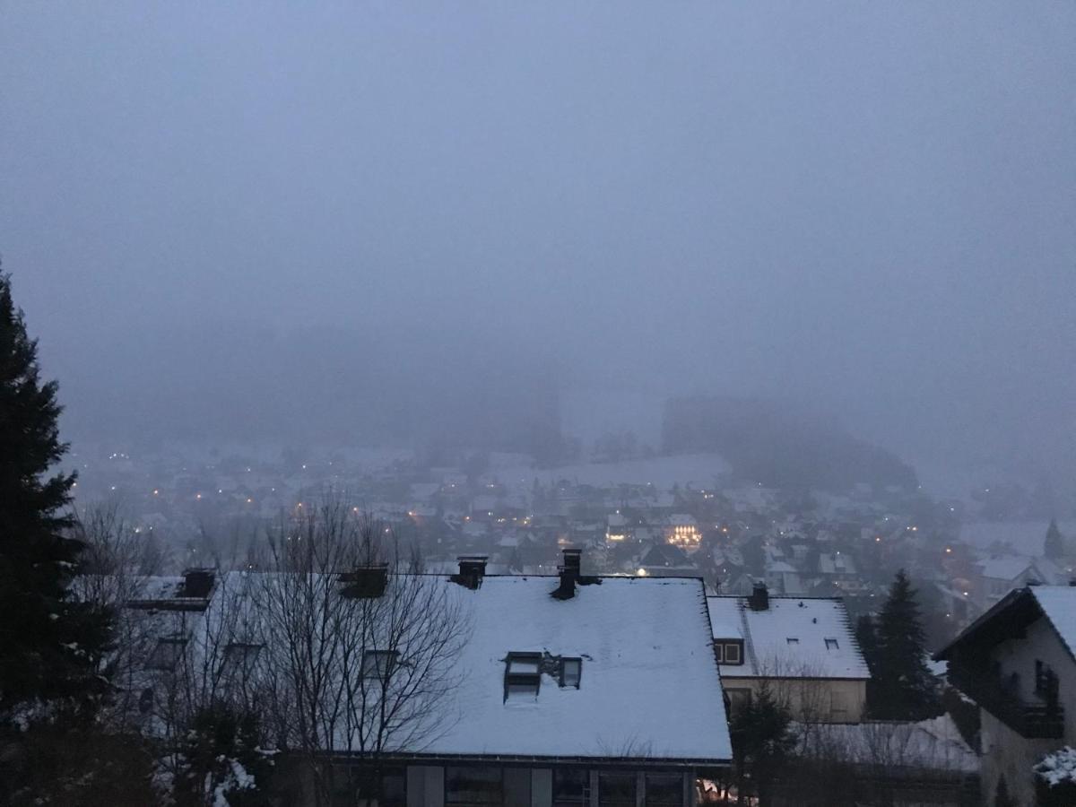 Appartement Familie Willems Winterberg 2 Екстериор снимка