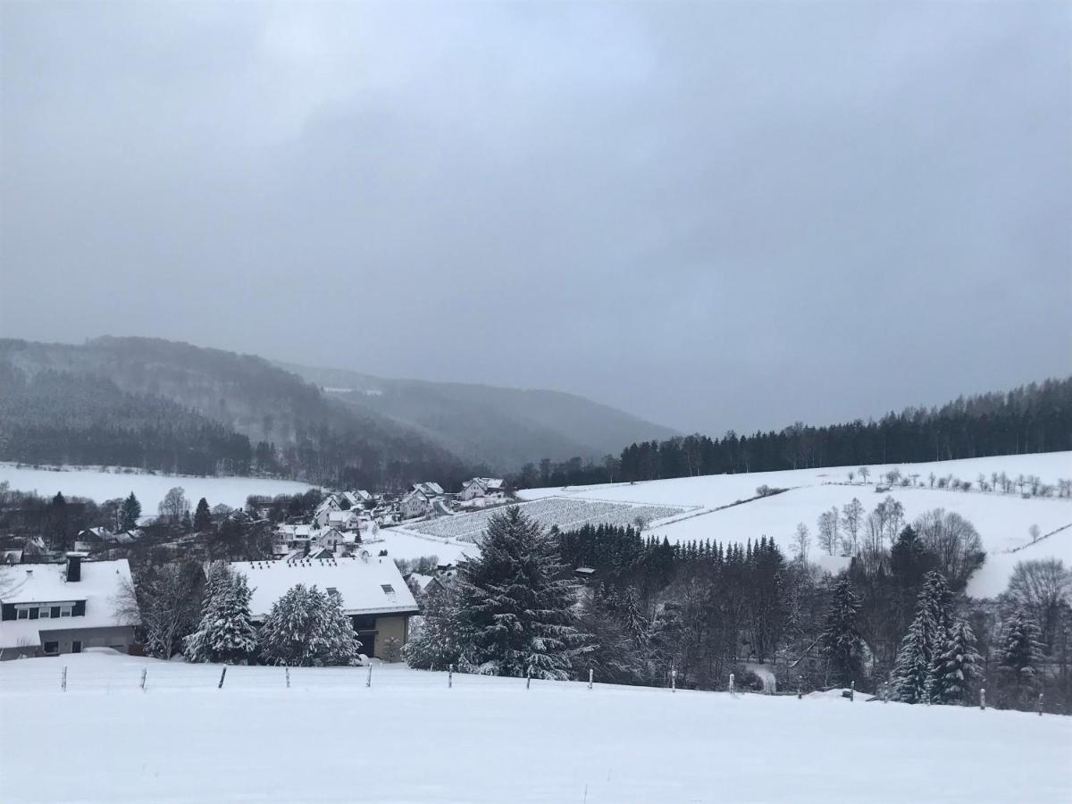 Appartement Familie Willems Winterberg 2 Екстериор снимка