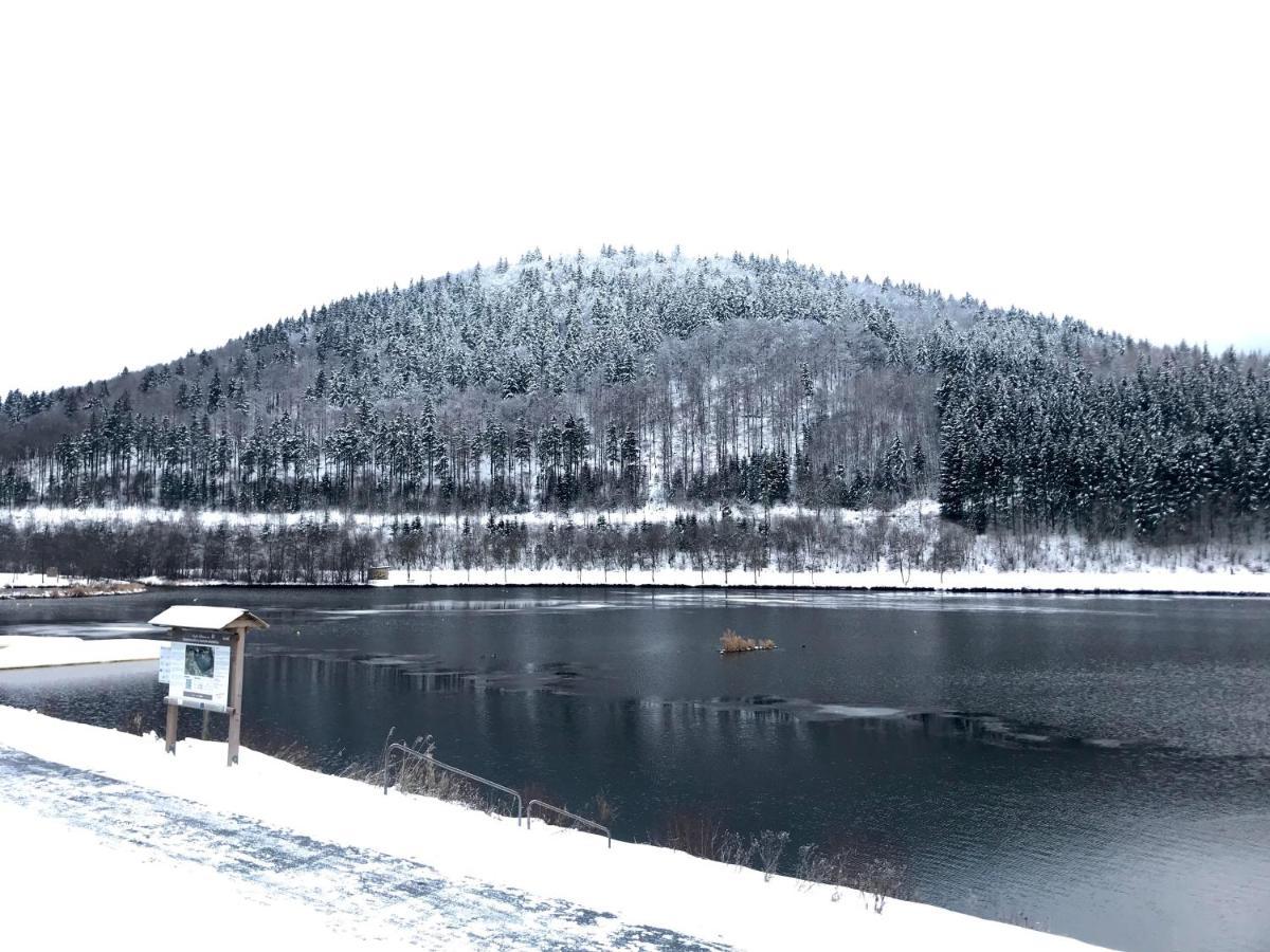 Appartement Familie Willems Winterberg 2 Екстериор снимка