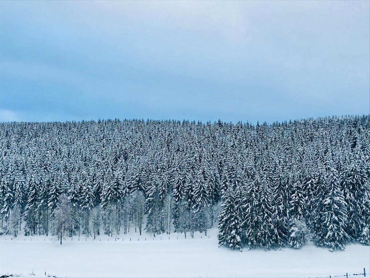 Appartement Familie Willems Winterberg 2 Екстериор снимка