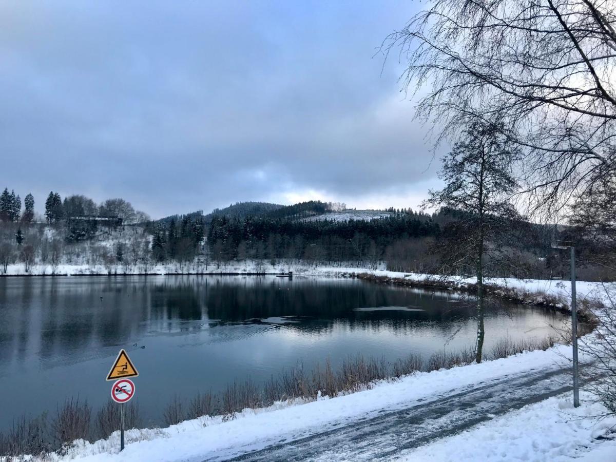 Appartement Familie Willems Winterberg 2 Екстериор снимка